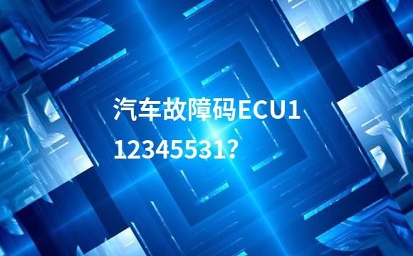 汽车故障码ECU112345531？