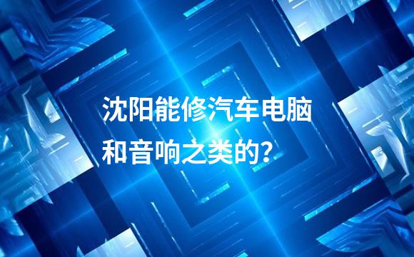 沈阳能修汽车电脑和音响之类的？