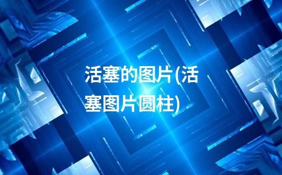 活塞的图片(活塞图片圆柱)