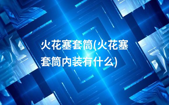 火花塞套筒(火花塞套筒内装有什么)