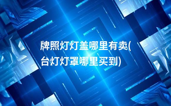 牌照灯灯盖哪里有卖(台灯灯罩哪里买到)