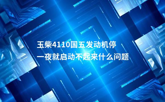 玉柴4110国五发动机停一夜就启动不起来什么问题