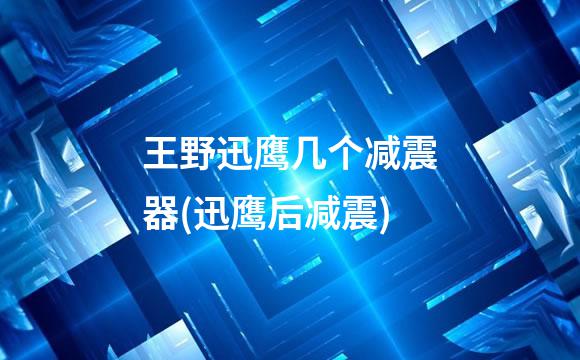 王野迅鹰几个减震器(迅鹰后减震)