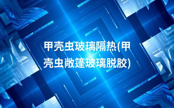 甲壳虫玻璃隔热(甲壳虫敞篷玻璃脱胶)
