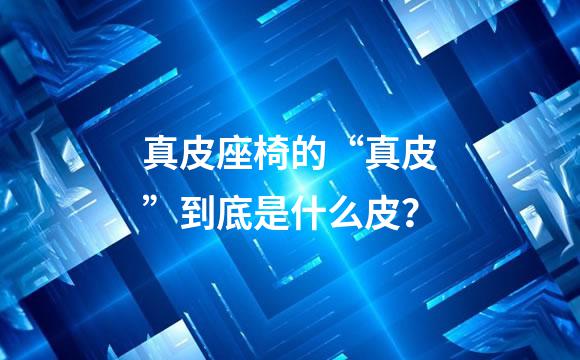 真皮座椅的“真皮”到底是什么皮？