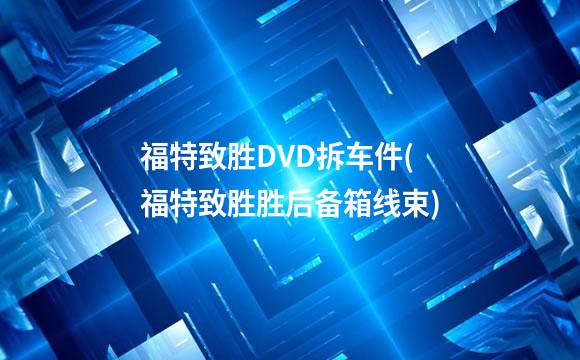 福特致胜DVD拆车件(福特致胜胜后备箱线束)