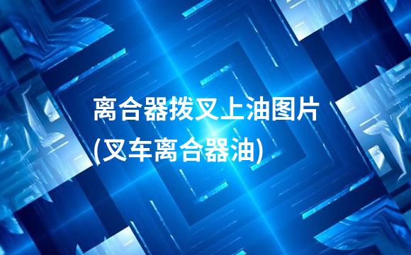 离合器拨叉上油图片(叉车离合器油)