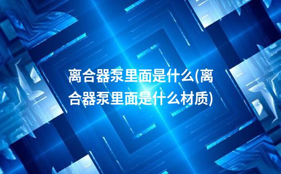 离合器泵里面是什么(离合器泵里面是什么材质)