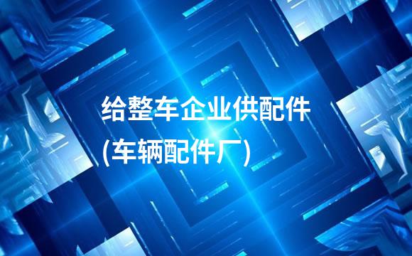 给整车企业供配件(车辆配件厂)