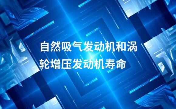 自然吸气发动机和涡轮增压发动机寿命
