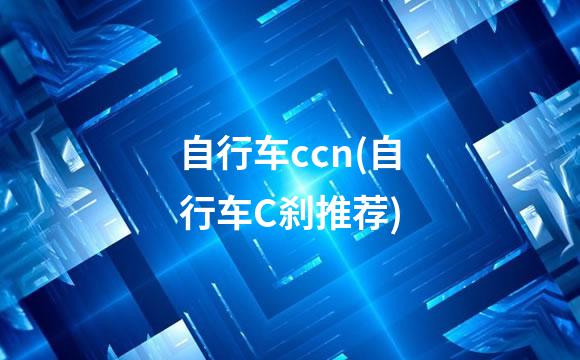 自行车ccn(自行车C刹推荐)