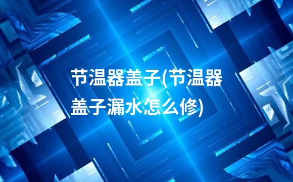 节温器盖子(节温器盖子漏水怎么修)