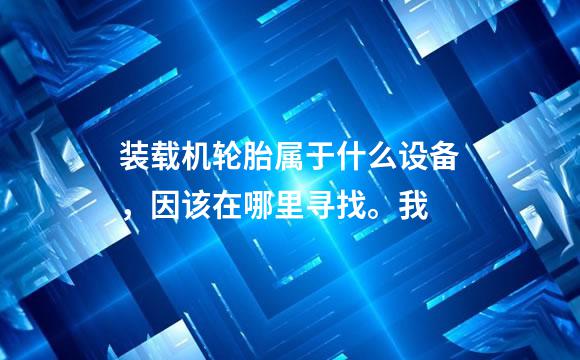 装载机轮胎属于什么设备，因该在哪里寻找。我