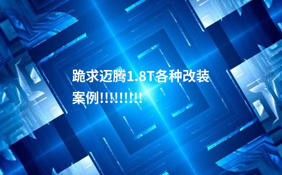 跪求迈腾1.8T各种改装案例!!!!!!!!!
