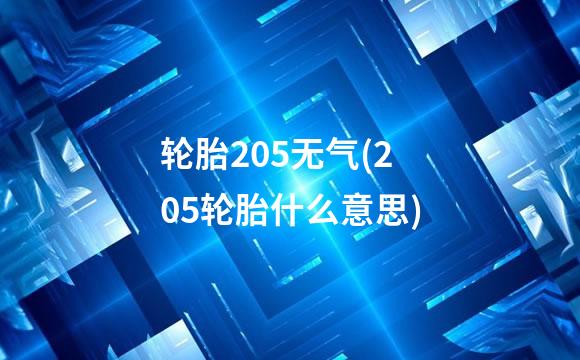 轮胎205无气(205轮胎什么意思)