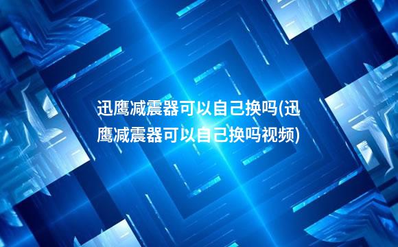 迅鹰减震器可以自己换吗(迅鹰减震器可以自己换吗视频)