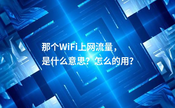 那个WiFi上网流量，是什么意思？怎么的用？