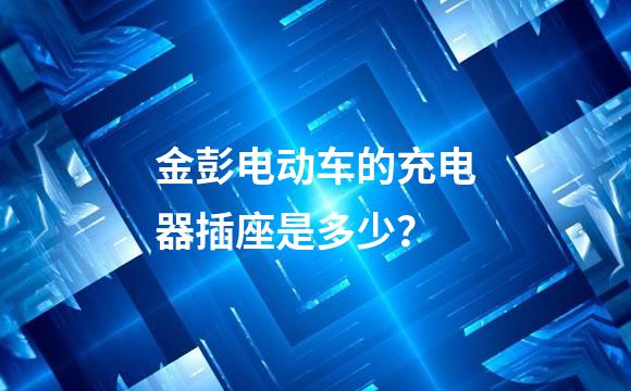 金彭电动车的充电器插座是多少？