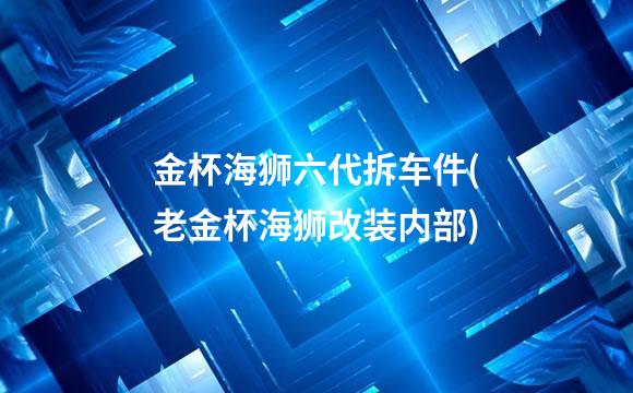 金杯海狮六代拆车件(老金杯海狮改装内部)