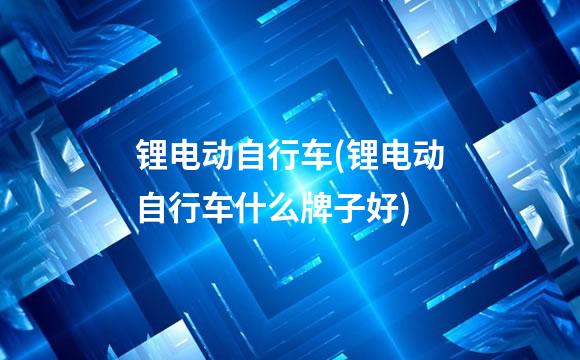 锂电动自行车(锂电动自行车什么牌子好)