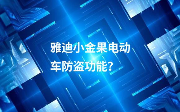 雅迪小金果电动车防盗功能？