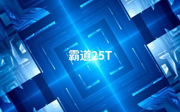霸道25T