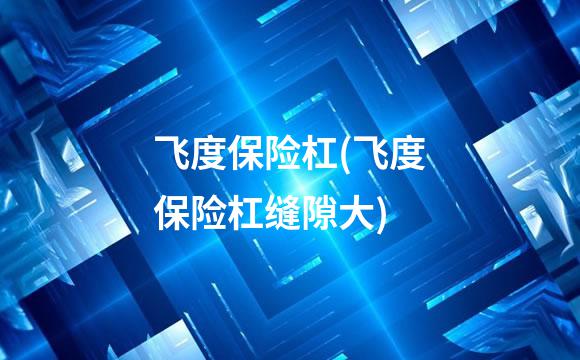 飞度保险杠(飞度保险杠缝隙大)