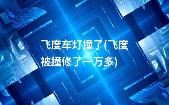 飞度车灯撞了(飞度被撞修了一万多)