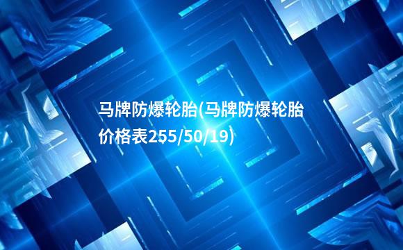 马牌防爆轮胎(马牌防爆轮胎价格表255/50/19)