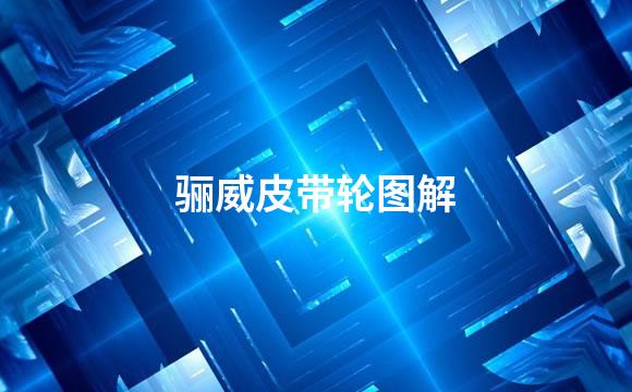 骊威皮带轮图解