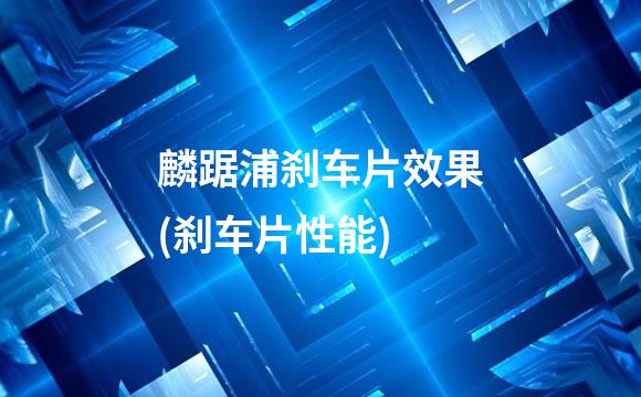 麟踞浦刹车片效果(刹车片性能)